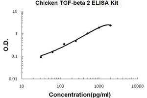 Chicken TGF-beta 2 PicoKine ELISA Kit standard curve (TGFB2 Kit ELISA)