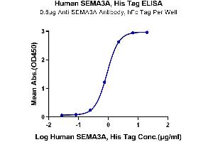 Immobilized Anti-SEMA3A Antibody, hFc Tag at 5 μg/mL (100 μL/Well) on the plate. (SEMA3A Protein (His tag))