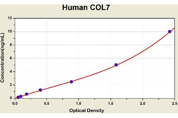 COL7A1 Kit ELISA