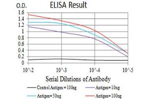 Black line: Control Antigen (100 ng),Purple line: Antigen (10 ng), Blue line: Antigen (50 ng), Red line:Antigen (100 ng) (SIRPA anticorps  (AA 235-373))