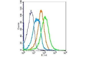 Flow Cytometry (FACS) image for anti-Chemokine (C-X-C Motif) Receptor 4 (CXCR4) (AA 201-294) antibody (ABIN730888)