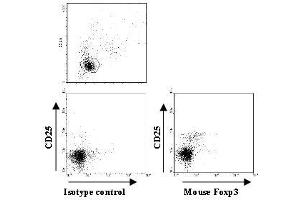 Flow Cytometry (FACS) image for anti-Forkhead Box P3 (FOXP3) antibody (Biotin) (ABIN2853612) (FOXP3 anticorps  (Biotin))