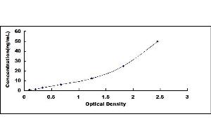 Typical standard curve (UCHL1 Kit ELISA)