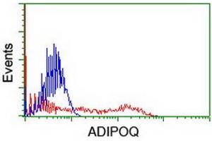 HEK293T cells transfected with either RC215161 overexpress plasmid (Red) or empty vector control plasmid (Blue) were immunostained by anti-ADIPOQ antibody (ABIN2455281), and then analyzed by flow cytometry. (ADIPOQ anticorps  (AA 19-244))