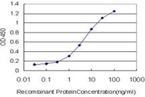 ELISA image for anti-SMAD, Mothers Against DPP Homolog 3 (SMAD3) (AA 120-221) antibody (ABIN561715)