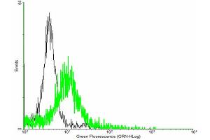 FACS analysis of negative control 293 cells (Black) and SMAD6 expressing 293 cells (Green) using SMAD6 purified MaxPab mouse polyclonal antibody. (SMAD6 anticorps  (AA 1-496))