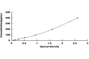 ELISA image for Peptidylprolyl Isomerase A (Cyclophilin A) (PPIA) ELISA Kit (ABIN1028488) (PPIA Kit ELISA)