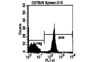 Cell Source: CD3e Positive Spleen Cells Percentage of cells stained above control: 52. (CD4 anticorps  (FITC))