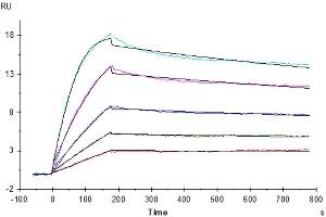 Surface Plasmon Resonance (SPR) image for Interleukin 15 (IL15) protein (ABIN7274953)