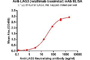 ELISA plate pre-coated by 1 μg/mL (100 μL/well) Human , His tagged protein ABIN6964105, ABIN7042465 and ABIN7042466 can bind Anti- Neutralizing antibody (ABIN7093078 and ABIN7272608) in a linear range of 0. (Recombinant LAG3 (Relatlimab Biosimilar) anticorps)