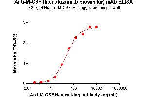 ELISA plate pre-coated by 2 μg/mL (100 μL/well) Human M-CSF Protein, His Tag ABIN7092731, ABIN7272278 and ABIN7272279 can bind Anti-M-CSF Neutralizing antibody (ABIN7478003 and ABIN7490942) in a linear range of 2. (Recombinant M-CSF (Lacnotuzumab Biosimilar) anticorps)