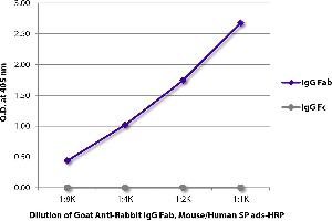 ELISA image for Goat anti-Rabbit IgG (Fab Region) antibody - Preadsorbed (ABIN5707408)