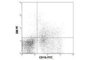 Flow Cytometry (FACS) image for anti-Mast/stem Cell Growth Factor Receptor (KIT) antibody (PE) (ABIN2662959) (KIT anticorps  (PE))