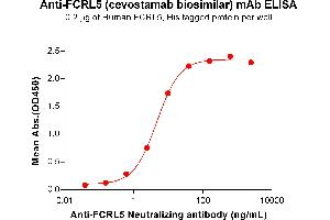 ELISA plate pre-coated by 2 μg/mL (100 μL/well) Human F Protein, His Tag ABIN7092781, ABIN7272386 and ABIN7272387 can bind Anti-F Neutralizing antibody (ABIN7477992 and ABIN7490924) in a linear range of 0. (Recombinant FCRL5 (Cevostamab Biosimilar) anticorps)