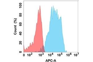 Flow cytometry analysis with Anti-CD200 (DM156) on Expi293 cells transfected with human CD200 (Blue histogram) or Expi293 transfected with irrelevant protein (Red histogram). (CD200 anticorps  (AA 31-232))