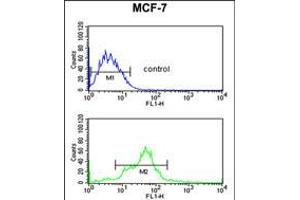 Flow cytometric analysis of MCF-7 cells (bottom histogram) compared to a negative control cell (top histogram). (PA2G4 anticorps  (AA 228-255))