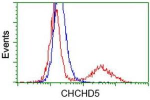 Image no. 1 for anti-Coiled-Coil-Helix-Coiled-Coil-Helix Domain Containing 5 (CHCHD5) antibody (ABIN1497491) (CHCHD5 anticorps)