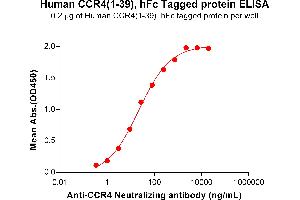 ELISA plate pre-coated by 2 μg/mL (100 μL/well) Human (1-39) Protein, hFc Tag (ABIN6964144, ABIN7042567 and ABIN7042568) can bind Anti- Neutralizing antibody ABIN7455960 and ABIN7490918 in a linear range of 1. (CCR4 Protein (AA 1-39) (Fc Tag))