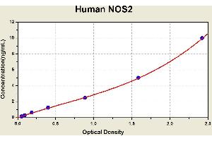 Diagramm of the ELISA kit to detect Human NOS2with the optical density on the x-axis and the concentration on the y-axis. (NOS2 Kit ELISA)