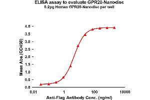 Elisa plates were pre-coated with Flag Tag -Nanodisc (0. (GPR20 Protéine)