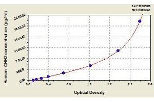 Typical standard curve (CNN2 Kit ELISA)