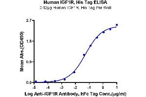 ELISA image for Insulin-Like Growth Factor 1 Receptor (IGF1R) (AA 31-932) protein (His-Avi Tag) (ABIN7274862)