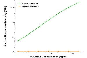 Luminex Assay (LMNX) image for anti-Aldehyde Dehydrogenase 1 Family, Member L1 (ALDH1L1) antibody (ABIN2715906) (ALDH1L1 anticorps)