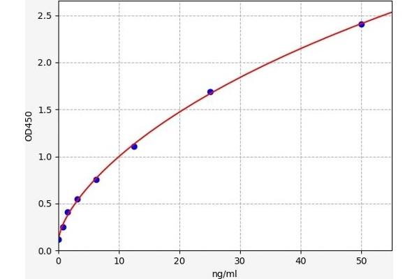 STAT4 Kit ELISA