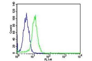 Flow cytometric analysis of HeLa cells using SP1 antibody (green) and an isotype control of mouse IgG1 (blue) (SP1 anticorps)