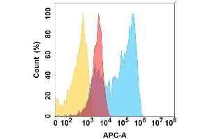 C protein is highly expressed on the surface of Expi293 cell membrane. (NG2 anticorps)