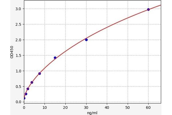 Coagulation Factor X Kit ELISA