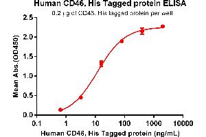 ELISA plate pre-coated by 2 μg/mL (100 μL/well) Human CD46 Protein, His Tag (ABIN6964079, ABIN7042413 and ABIN7042414) can bind Anti-CD46 antibody(DM145), Rabbit mAb in a linear range of 0. (CD46 Protein (CD46) (AA 35-328) (His tag))