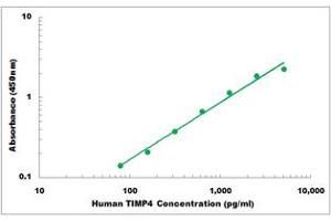 Representative Standard Curve (TIMP4 Kit ELISA)