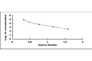 Typical standard curve (Androsterone (ADT) Kit ELISA)