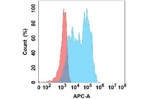 Flow cytometry analysis with Anti-L1 on Expi293 cells transfected with human L1 (Blue histogram) or Expi293 transfected with irrelevant protein (Red histogram). (CHI3L1 anticorps)