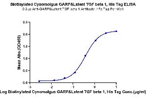 Immobilized Anti-GARP&Latent TGF beta 1 Antibody, hFc Tag at 2 μg/mL (100 μL/well) on the plate. (GARP & Latent TGF beta 1 Complex (AA 18-628) protein (His-Avi Tag,Biotin))