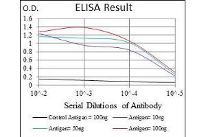 ELISA image for anti-PDZ Binding Kinase (PBK) antibody (ABIN969345)