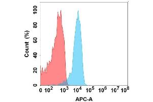 Flow cytometry analysis with Anti-LG on Expi293 cells transfected with human LG (Blue histogram) or Expi293 transfected with irrelevant protein (Red histogram). (FLT3LG anticorps)