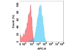 Flow cytometry analysis with Anti-GC on Expi293 cells transfected with human GC (Blue histogram) or Expi293 transfected with irrelevant protein (Red histogram). (GUCY2C anticorps)
