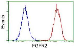 Flow Cytometry (FACS) image for anti-Fibroblast Growth Factor Receptor 2 (FGFR2) antibody (ABIN1498250) (FGFR2 anticorps)