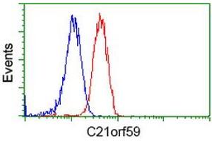 Flow Cytometry (FACS) image for anti-Chromosome 21 Open Reading Frame 59 (C21orf59) antibody (ABIN1497044) (C21orf59 anticorps)