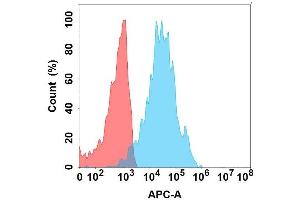 Flow cytometry analysis with Anti- on Expi293 cells transfected with human (Blue histogram) or Expi293 transfected with irrelevant protein (Red histogram). (LI Cadherin anticorps)