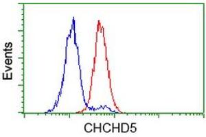 Image no. 3 for anti-Coiled-Coil-Helix-Coiled-Coil-Helix Domain Containing 5 (CHCHD5) antibody (ABIN1497491) (CHCHD5 anticorps)