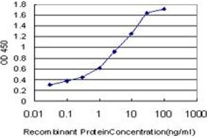 Detection limit for recombinant GST tagged TGM2 is approximately 0. (Transglutaminase 2 anticorps  (AA 1-120))