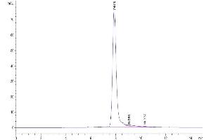 Size-exclusion chromatography-High Pressure Liquid Chromatography (SEC-HPLC) image for Klotho beta (KLB) protein (His tag) (ABIN7275092)