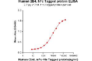 ELISA plate pre-coated by 2 μg/mL (100 μL/well) Human CD48, mFc-His tagged protein ABIN6961089, ABIN7042207 and ABIN7042208 can bind Human 2B4, hFc tagged protein (ABIN6961162, ABIN7042353 and ABIN7042354) in a linear range of 62. (2B4 Protein (AA 22-221) (Fc Tag))