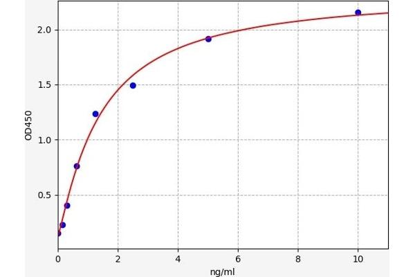 TRKB Kit ELISA