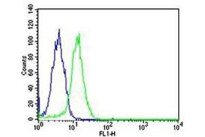 Flow cytometric analysis of HeLa cells using SP1 antibody (green) and an isotype control of mouse IgG1 (blue); Ab was diluted at 1:25 dilution. (SP1 anticorps)