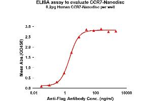 Elisa plates were pre-coated with Flag Tag -Nanodisc (0. (CCR7 Protéine)