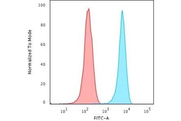 CD3 epsilon anticorps